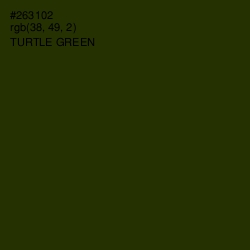 #263102 - Turtle Green Color Image