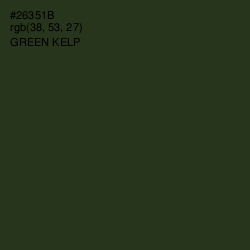 #26351B - Green Kelp Color Image