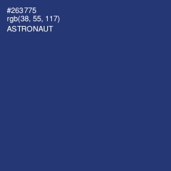 #263775 - Astronaut Color Image