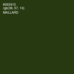 #263910 - Mallard Color Image