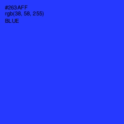 #263AFF - Blue Color Image