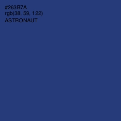 #263B7A - Astronaut Color Image