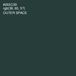 #263C39 - Outer Space Color Image