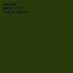 #263D09 - Turtle Green Color Image