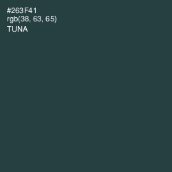 #263F41 - Tuna Color Image
