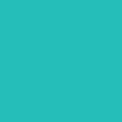 #26BFB7 - Pelorous Color Image