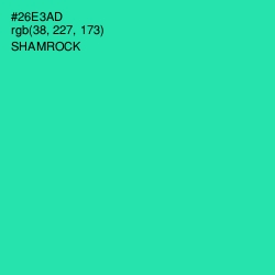 #26E3AD - Shamrock Color Image