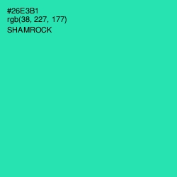 #26E3B1 - Shamrock Color Image