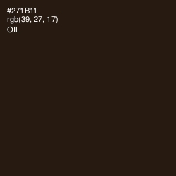 #271B11 - Oil Color Image