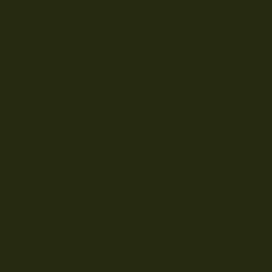 #272B12 - Black Olive Color Image