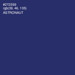 #272E69 - Astronaut Color Image