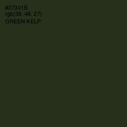 #27301B - Green Kelp Color Image