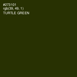 #273101 - Turtle Green Color Image