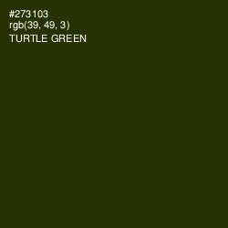 #273103 - Turtle Green Color Image