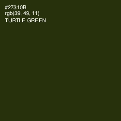 #27310B - Turtle Green Color Image