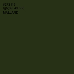 #273116 - Mallard Color Image