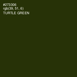 #273306 - Turtle Green Color Image
