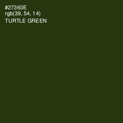 #27360E - Turtle Green Color Image