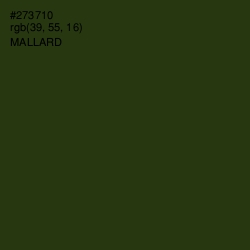 #273710 - Mallard Color Image