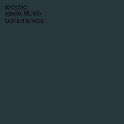 #27373C - Outer Space Color Image