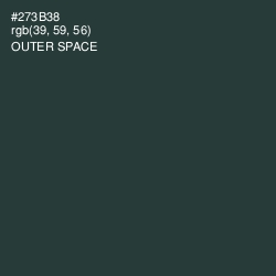 #273B38 - Outer Space Color Image