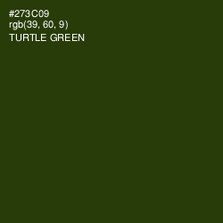 #273C09 - Turtle Green Color Image