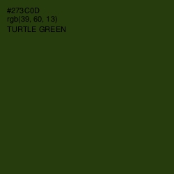 #273C0D - Turtle Green Color Image