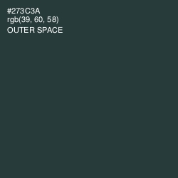 #273C3A - Outer Space Color Image