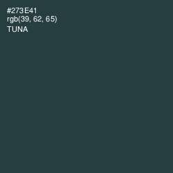 #273E41 - Tuna Color Image
