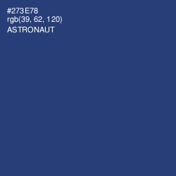 #273E78 - Astronaut Color Image
