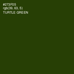 #273F05 - Turtle Green Color Image