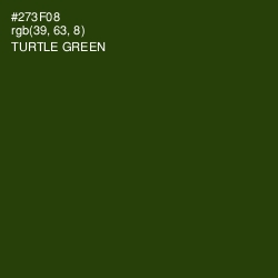 #273F08 - Turtle Green Color Image