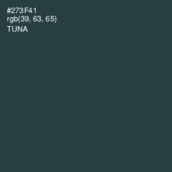 #273F41 - Tuna Color Image
