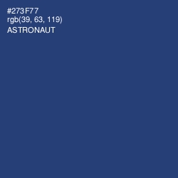 #273F77 - Astronaut Color Image