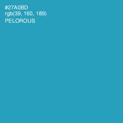 #27A0BD - Pelorous Color Image