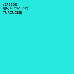 #27E8DE - Turquoise Color Image