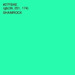 #27FBAE - Shamrock Color Image