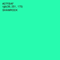 #27FBAF - Shamrock Color Image