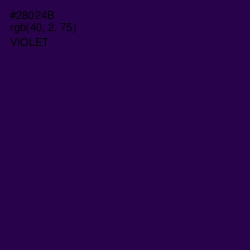 #28024B - Violet Color Image