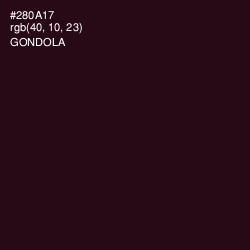 #280A17 - Gondola Color Image