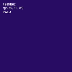 #280B62 - Paua Color Image