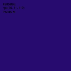 #280B6E - Paris M Color Image