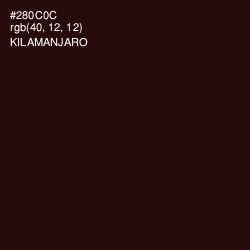 #280C0C - Kilamanjaro Color Image