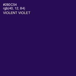 #280C54 - Violent Violet Color Image