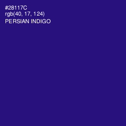 #28117C - Persian Indigo Color Image