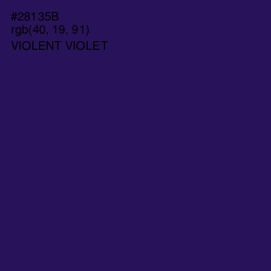 #28135B - Violent Violet Color Image