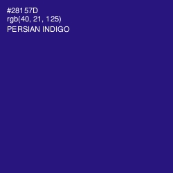 #28157D - Persian Indigo Color Image