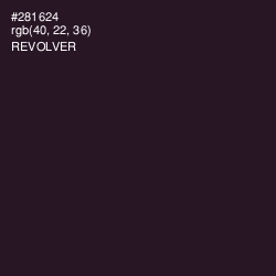 #281624 - Revolver Color Image