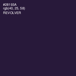 #28193A - Revolver Color Image