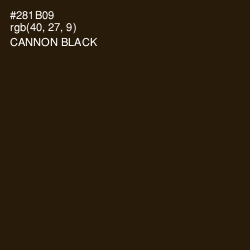 #281B09 - Cannon Black Color Image